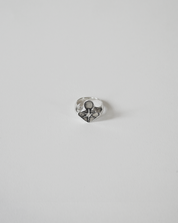 Corrosive Ring (925 Solid Silver)