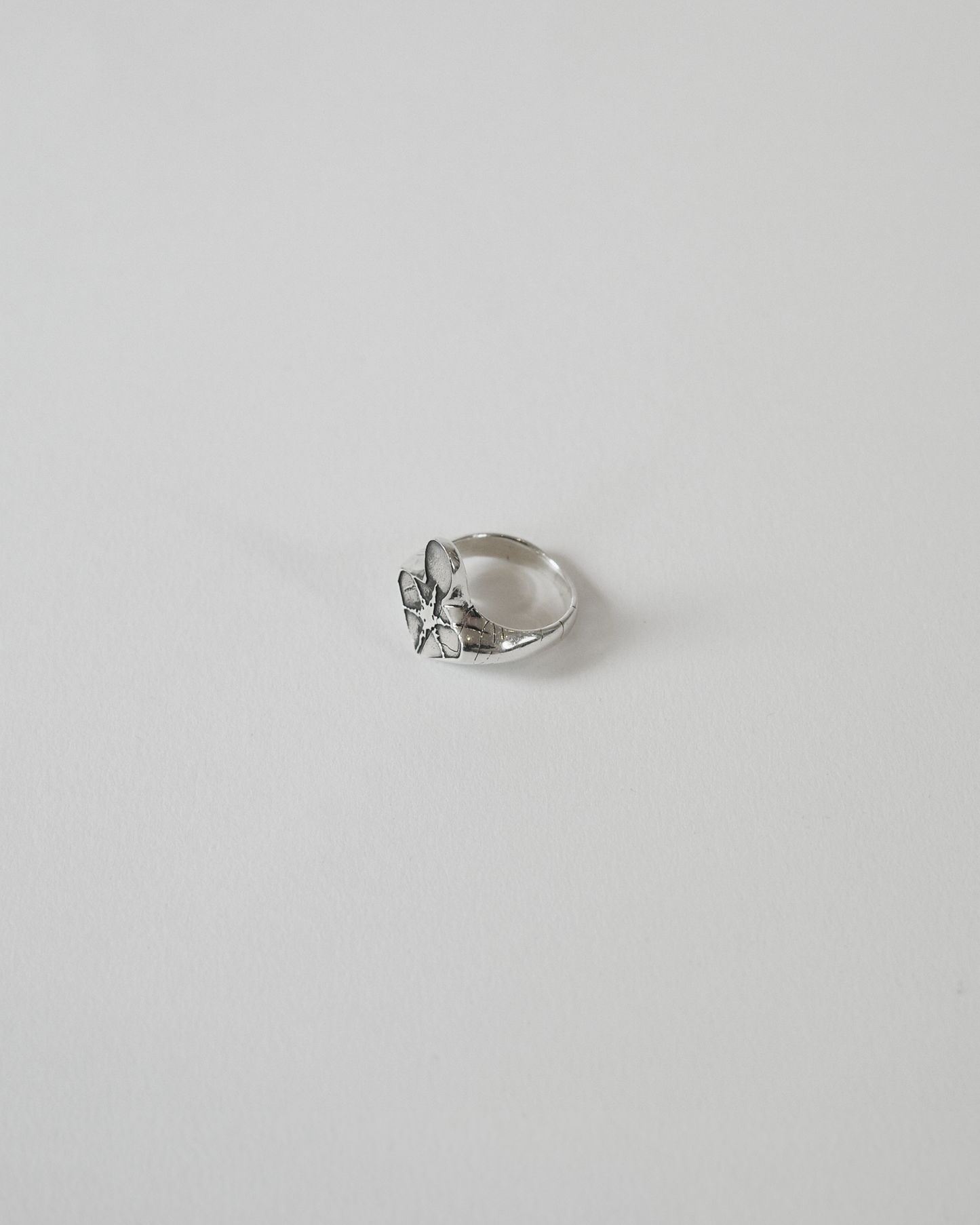 Corrosive Ring (925 Solid Silver)